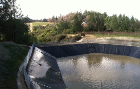 pride-vineyards-IMG_8587